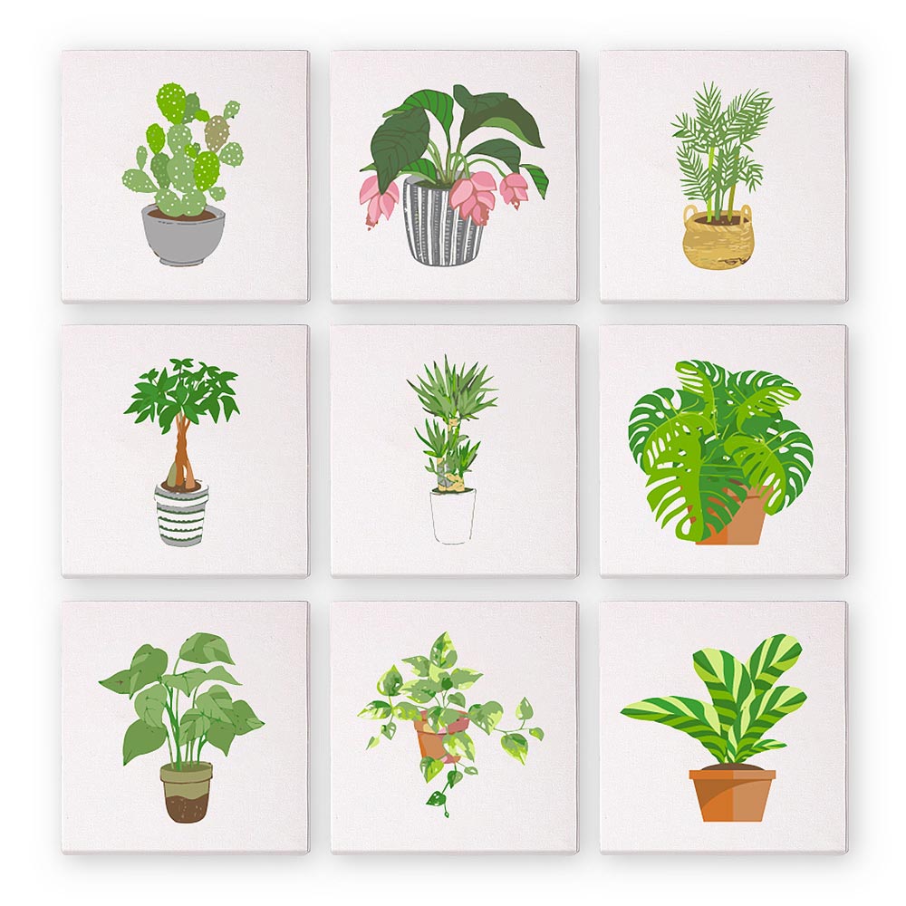 Paint by Numbers – 9 Mini Paintings | Houseplants Set