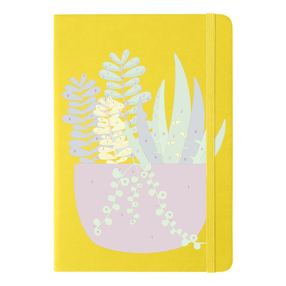 Paint by Numbers Hardcover Journal Notebook - Succulent Potted Plant