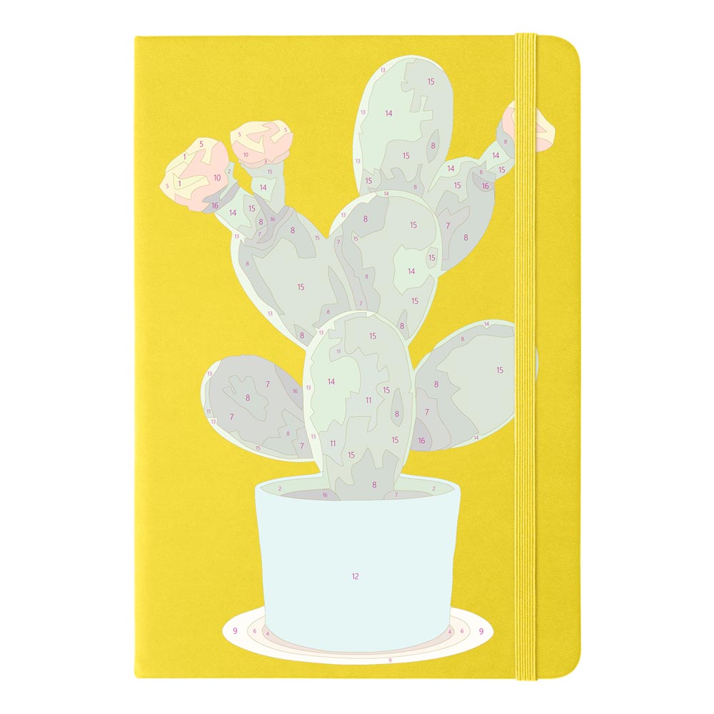 Paint by Numbers Hardcover Journal Notebook - Flowering Cactus