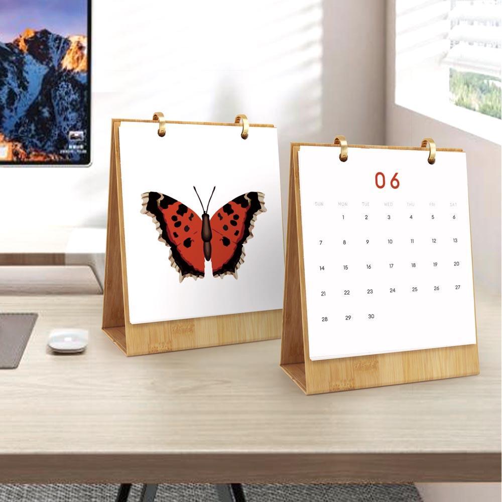 Paint by Numbers - 2026 Desk Calendar - Butterfly Collection