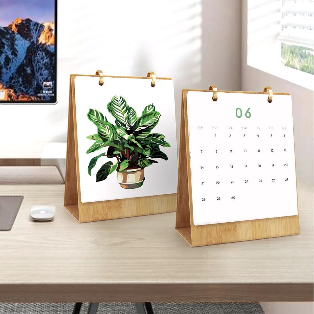 Paint by Numbers - 2026 Desk Calendar - Houseplant Haven