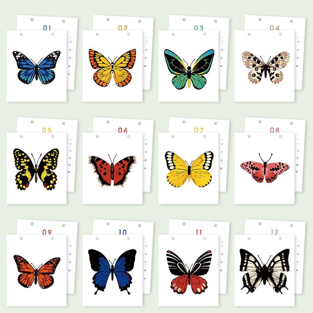 Paint by Numbers - 2026 Desk Calendar - Butterfly Collection