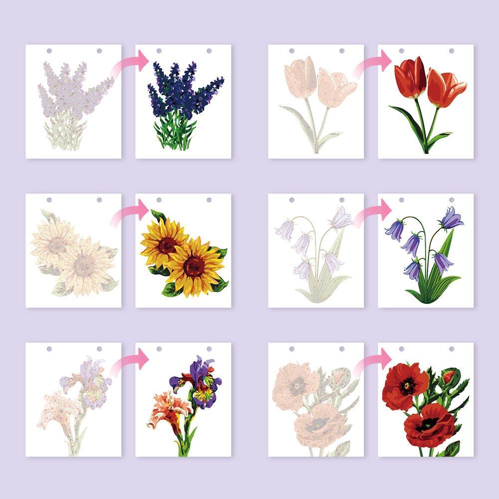Paint by Numbers - 2026 Desk Calendar - Blooming Beauties