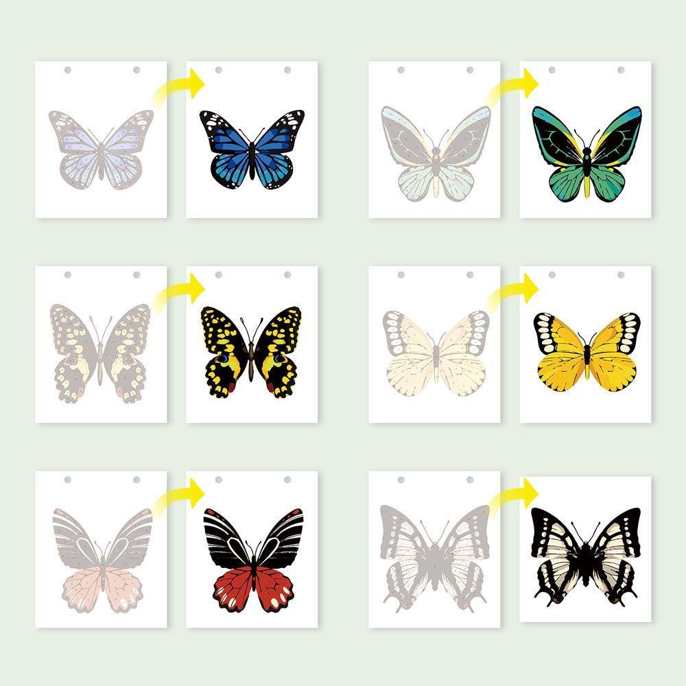 Paint by Numbers - 2026 Desk Calendar - Butterfly Collection