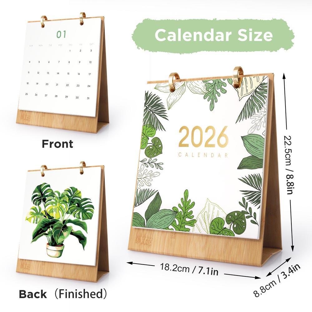 Paint by Numbers - 2026 Desk Calendar - Houseplant Haven