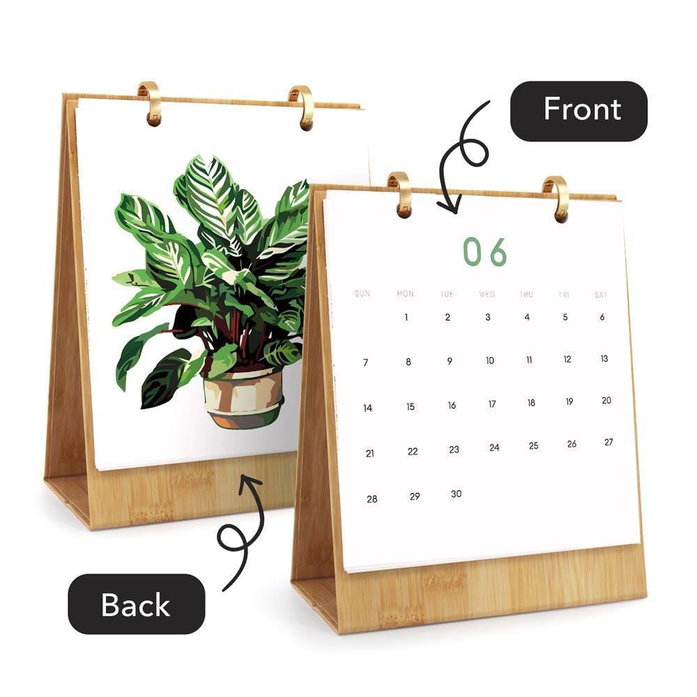 Paint by Numbers - 2026 Desk Calendar - Houseplant Haven