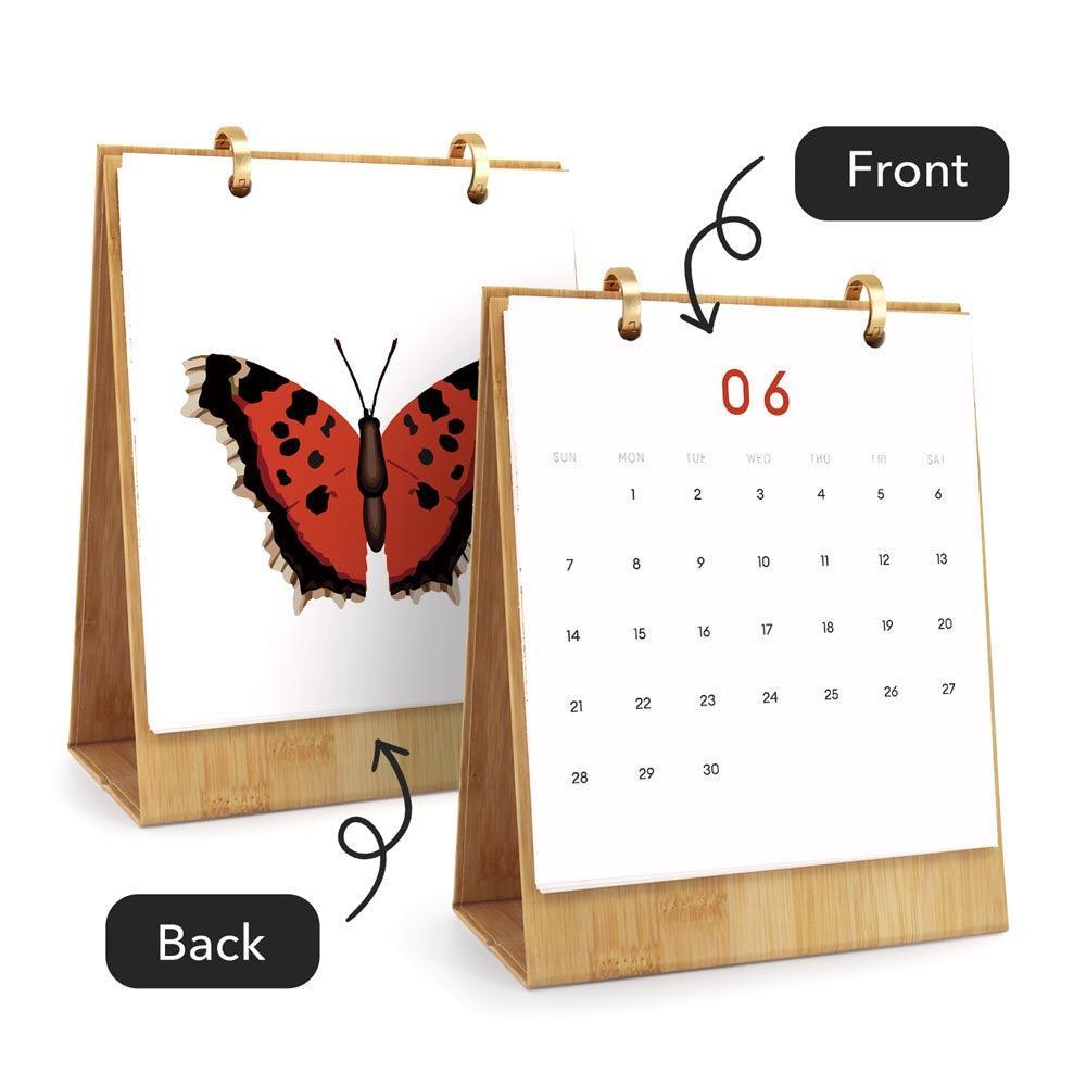 Paint by Numbers - 2026 Desk Calendar - Butterfly Collection