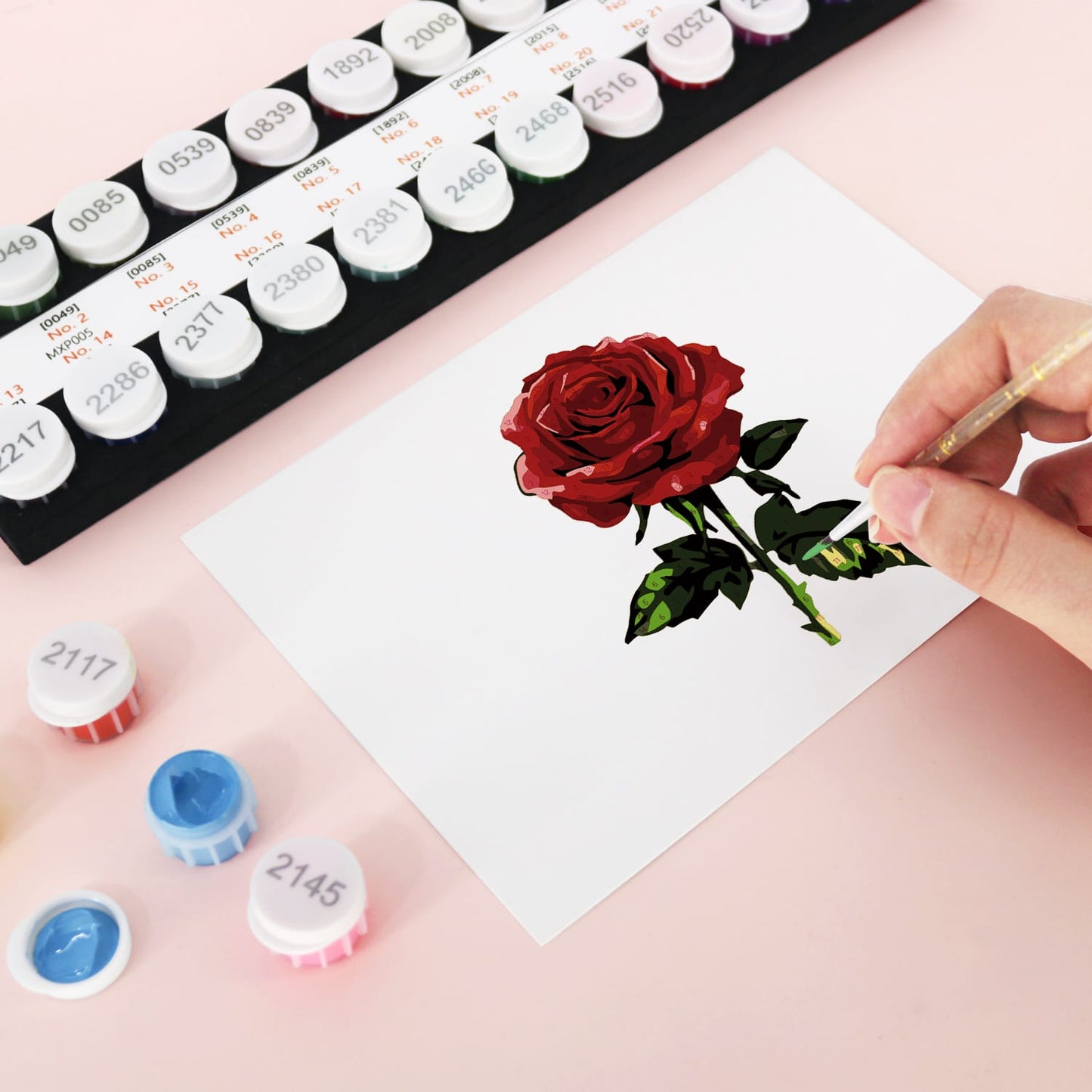 Paint by Numbers – Postcard | Red Glamour