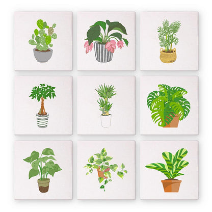 Paint by Numbers – 9 Mini Paintings | Houseplants Set