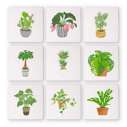 Paint by Numbers – 9 Mini Paintings | Houseplants Set