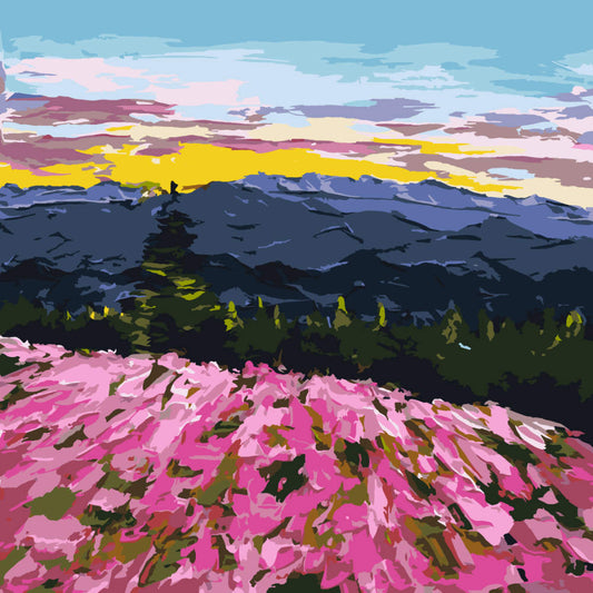 Paint by Numbers - Coastal Cliffs and Waves - by Mariia Sukalova