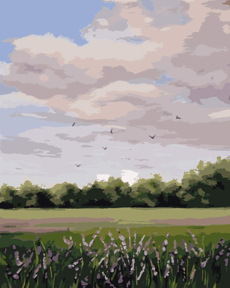 Paint by Numbers – Peaceful Meadow Landscape - by Mariia Sukalova