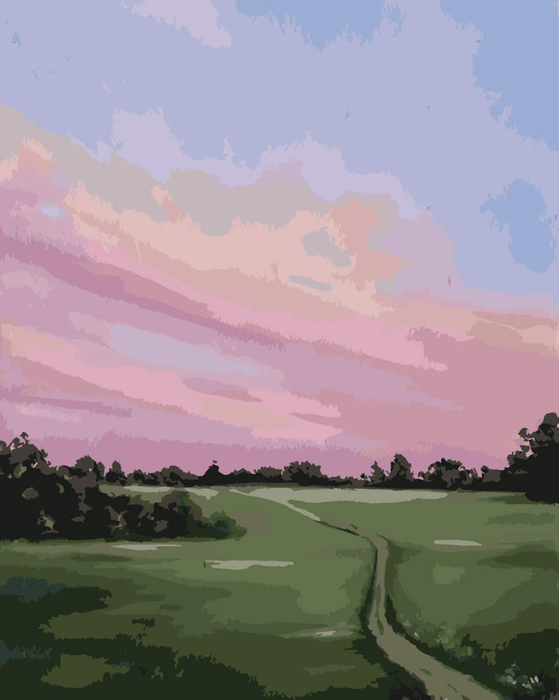 Paint by Numbers - Pink Sunset over Meadow - by Mariia Sukalova