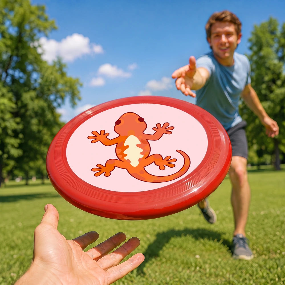 Paint by Numbers - Frisbee | Orange Lizard