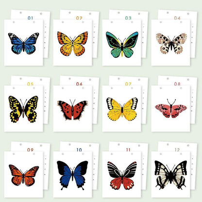 Paint by Numbers - 2026 Desk Calendar - Butterfly Collection