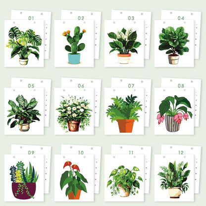 Paint by Numbers - 2026 Desk Calendar - Houseplant Haven