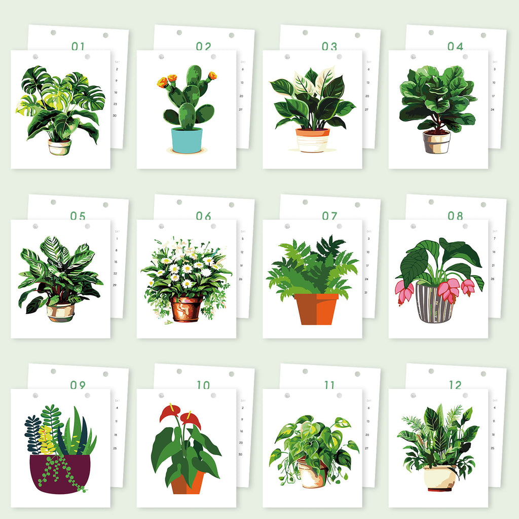 A set of 12 illustrated plant art cards arranged in a grid on a pale green background. Each white card shows a different potted houseplant in a simple watercolor style, with small numbers 01 through 12 printed above each card.