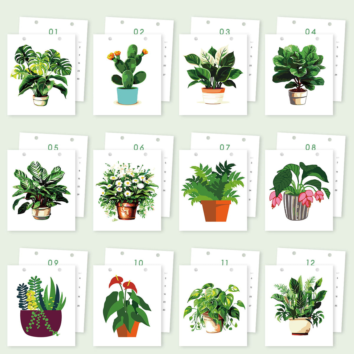 
A set of 12 illustrated plant art cards arranged in a grid on a pale green background. Each white card shows a different potted houseplant in a simple watercolor style, with small numbers 01 through 12 printed above each card.