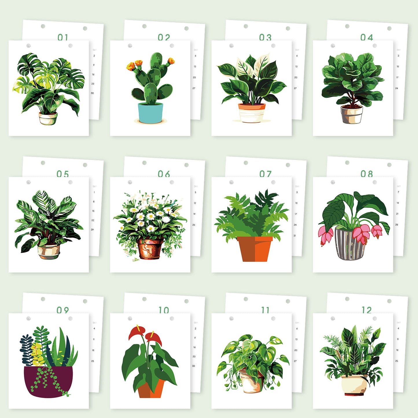 A set of 12 illustrated plant art cards arranged in a grid on a pale green background. Each white card shows a different potted houseplant in a simple watercolor style, with small numbers 01 through 12 printed above each card.