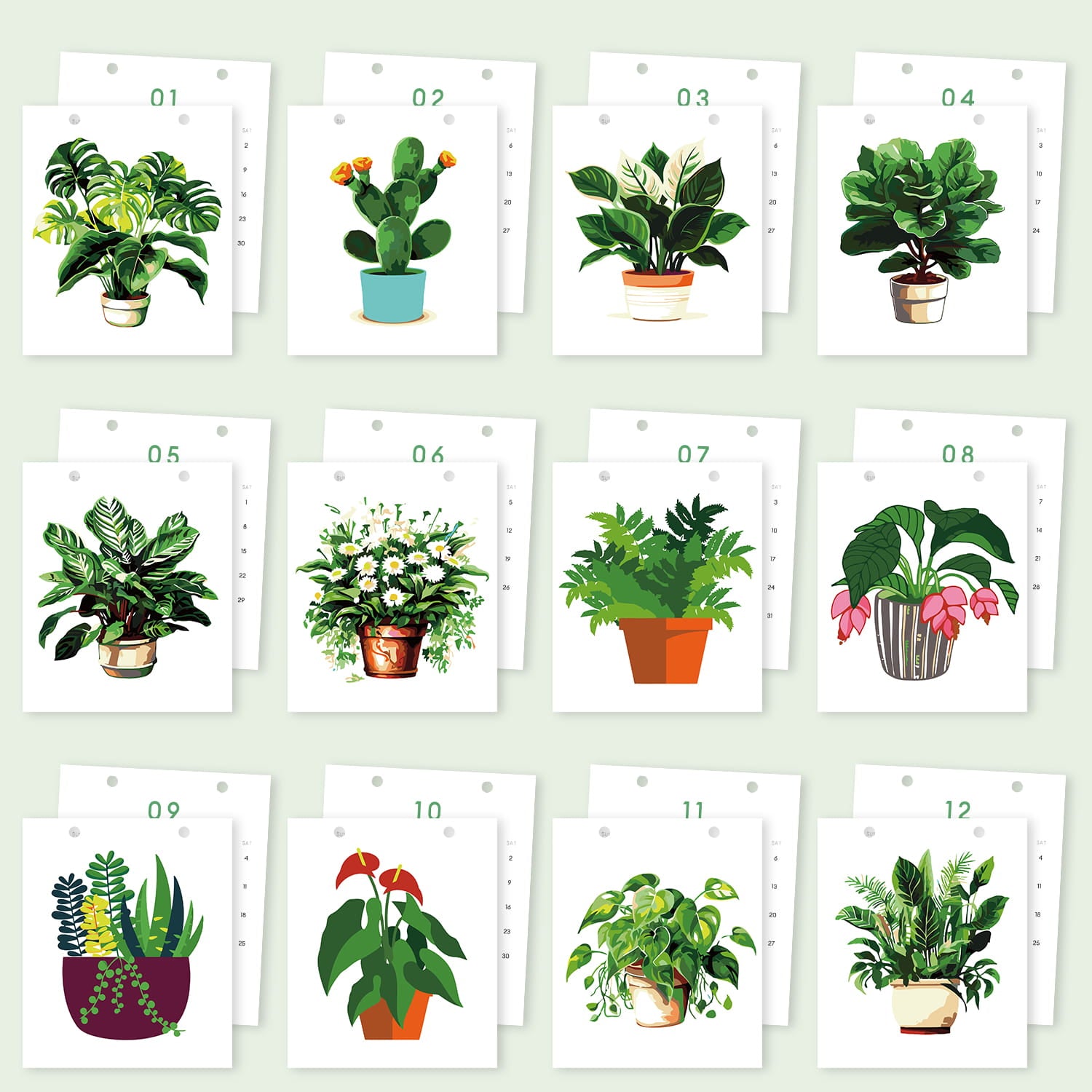 A set of 12 illustrated plant art cards arranged in a grid on a pale green background. Each white card shows a different potted houseplant in a simple watercolor style, with small numbers 01 through 12 printed above each card.