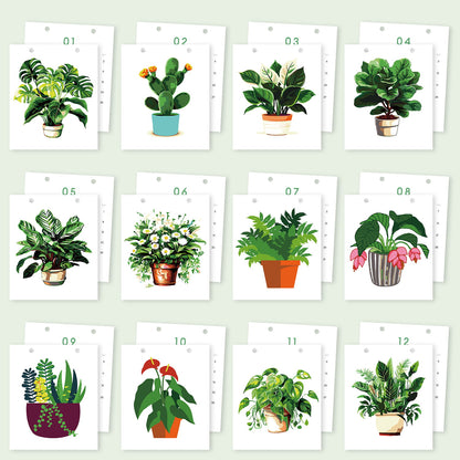 A set of 12 illustrated plant art cards arranged in a grid on a pale green background. Each white card shows a different potted houseplant in a simple watercolor style, with small numbers 01 through 12 printed above each card.