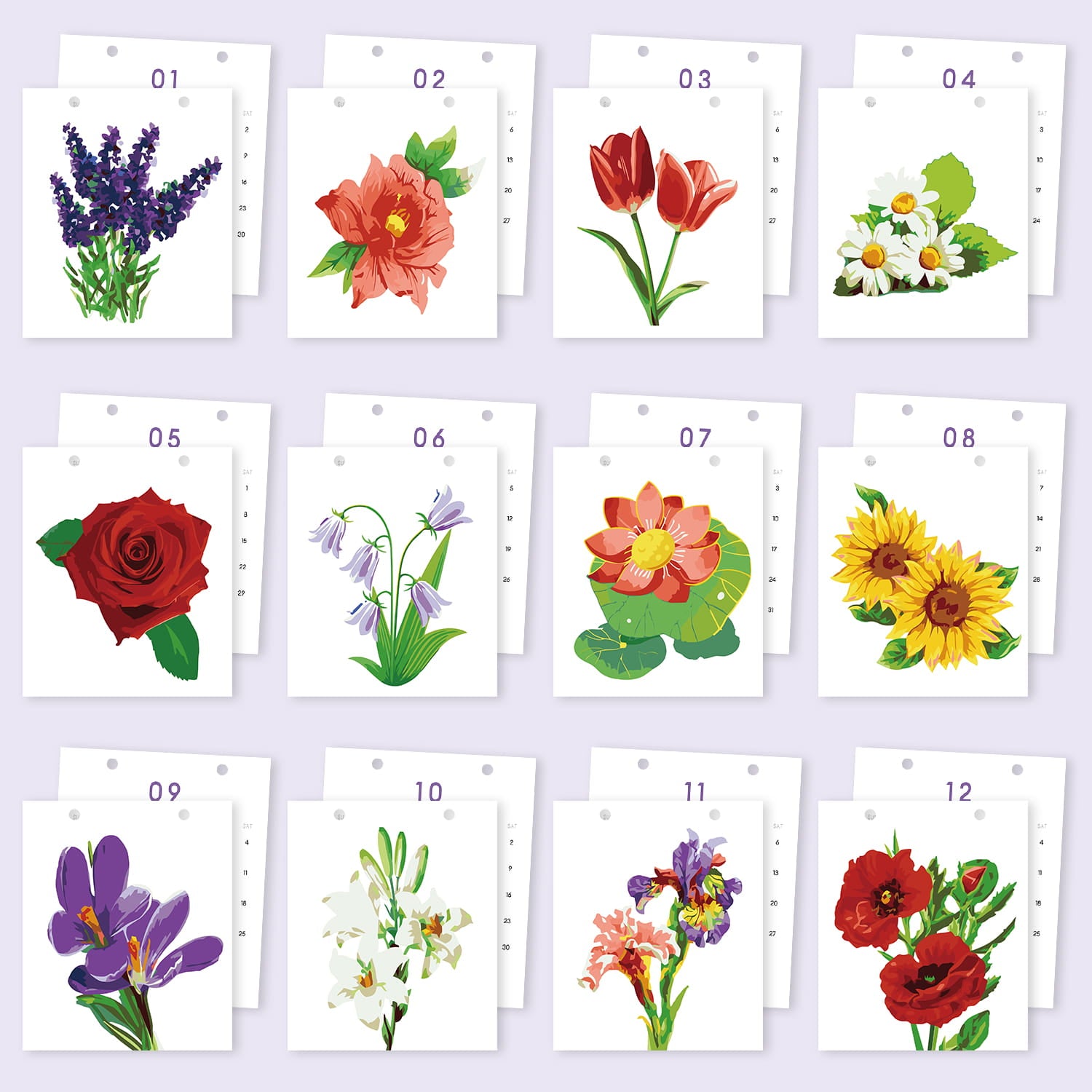 A set of 12 small white cards arranged in a grid on a pale lavender background. Each card shows a different floral illustration with a number printed above it, such as lavender, a coral flower, tulips, daisies, a red rose, bluebells, lily of the valley, sunflowers, crocuses, lilies, irises, and poppies.
