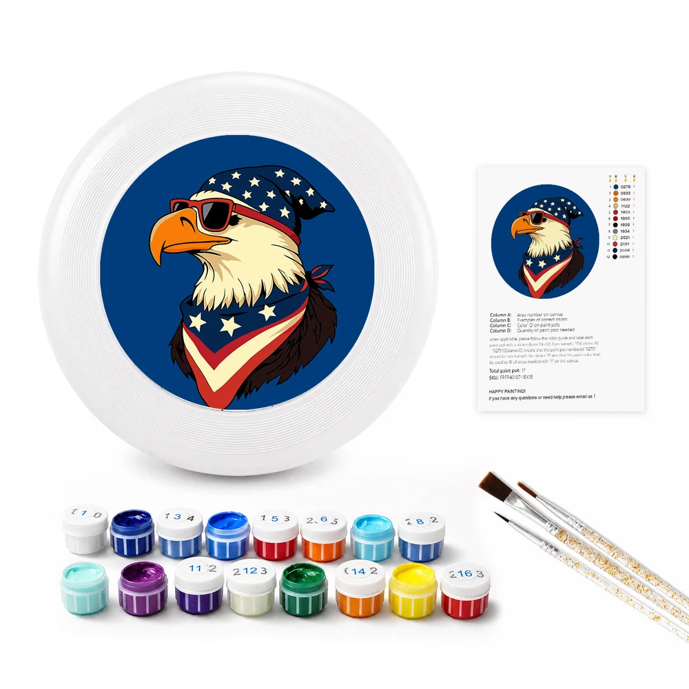 Paint by Numbers - Frisbee | American Eagle