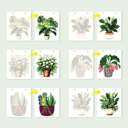 Paint by Numbers - 2026 Desk Calendar - Houseplant Haven