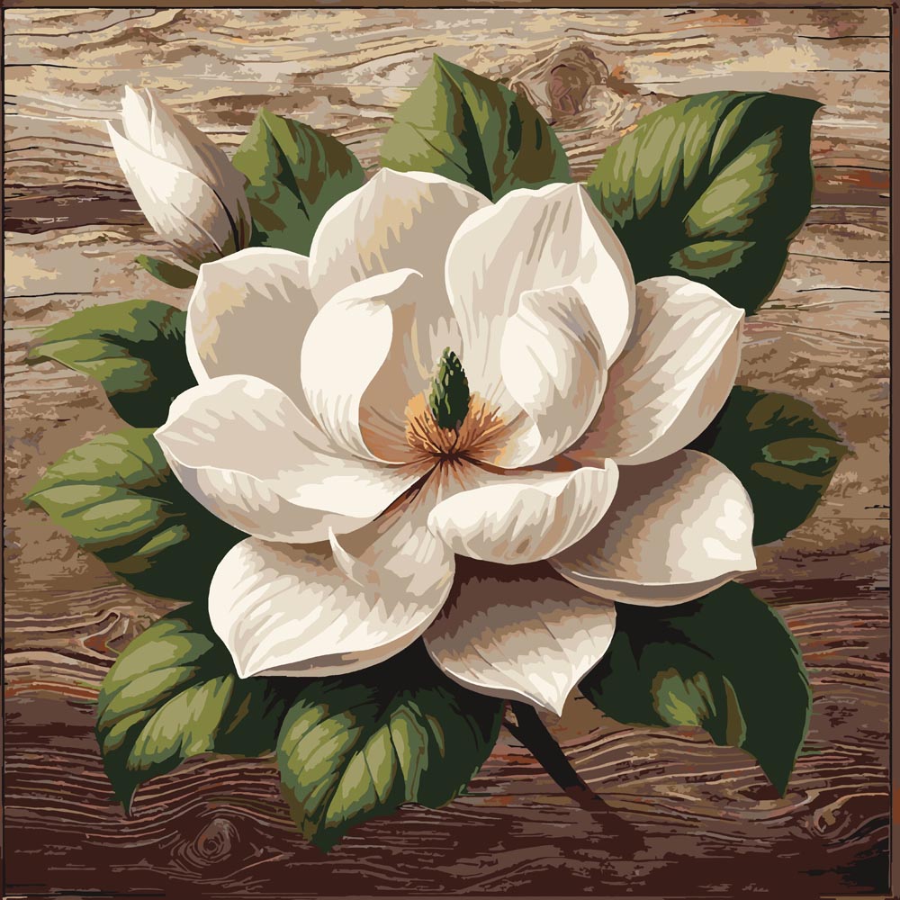 
Paint By Numbers - Magnolia on Wood