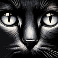 Paint by Numbers - Cat Close Up
