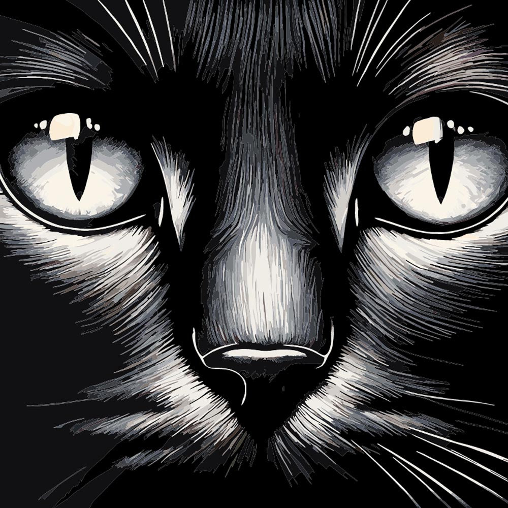 
Paint by Numbers - Cat Close Up