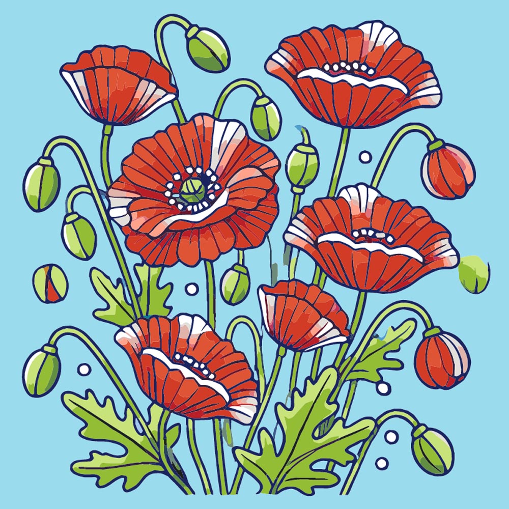 
Paint by Numbers - Red Poppy Garden