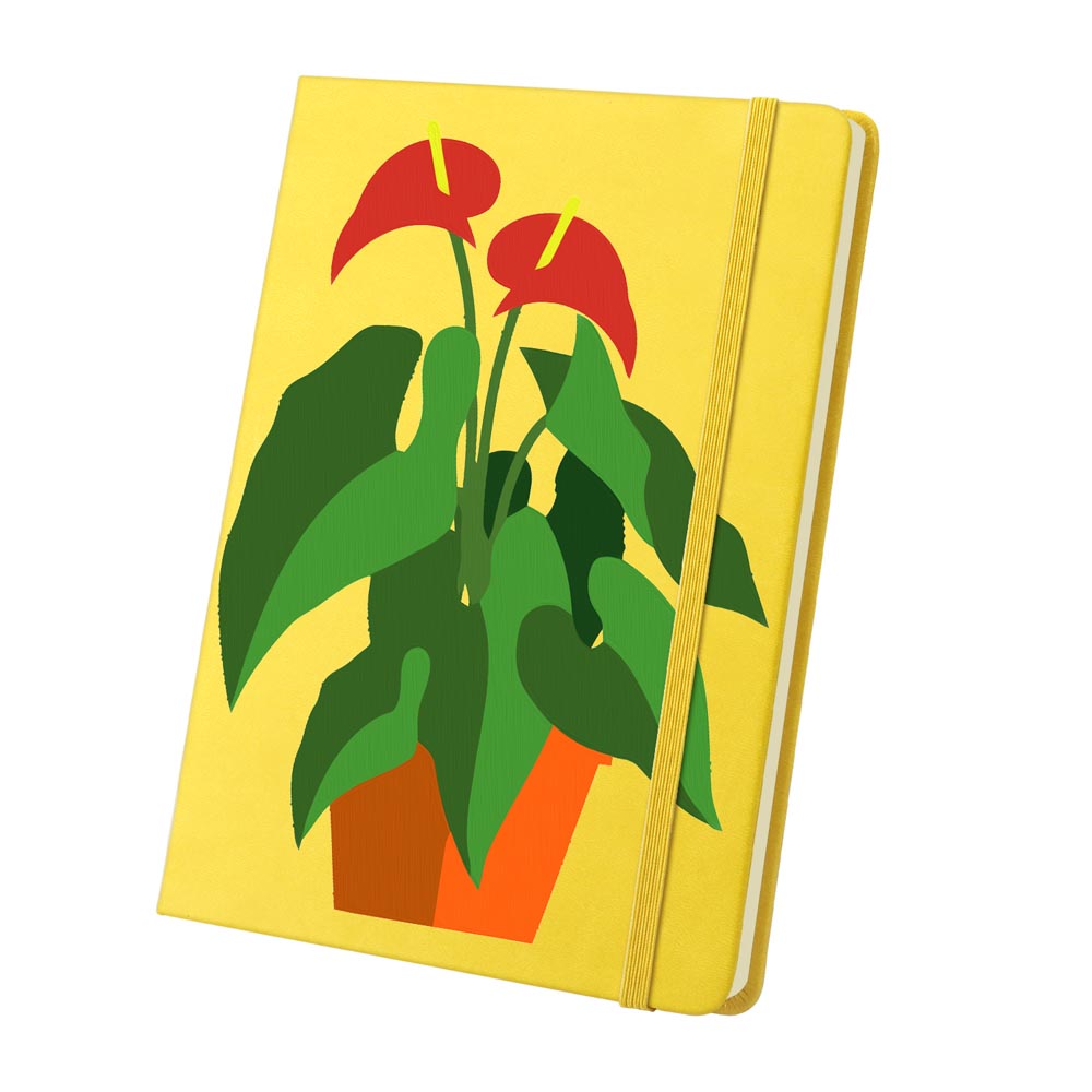 Paint by Numbers Hardcover Journal Notebook - Succulent Potted Plant