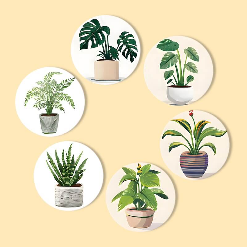 
Paint by Numbers - Coasters | Indoor Plants