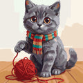 Paint by Numbers - Gray Kitten with Yarn