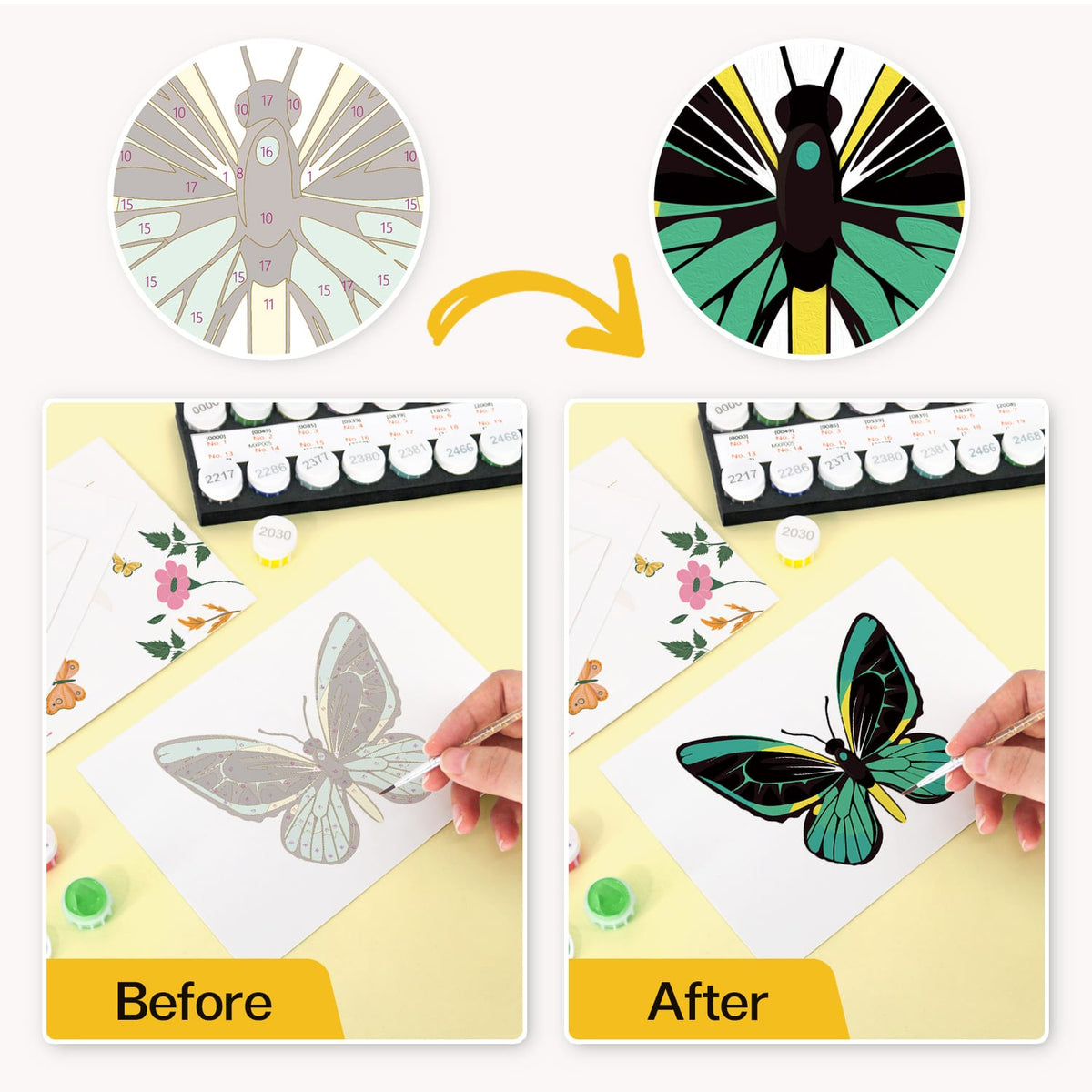
Paint by Numbers – Postcard | Butterflies & Blooms