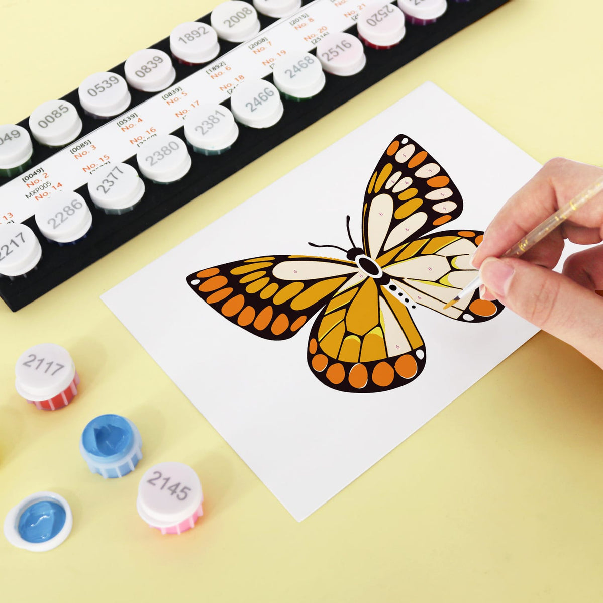 
Paint by Numbers – Postcard | Butterflies & Blooms
