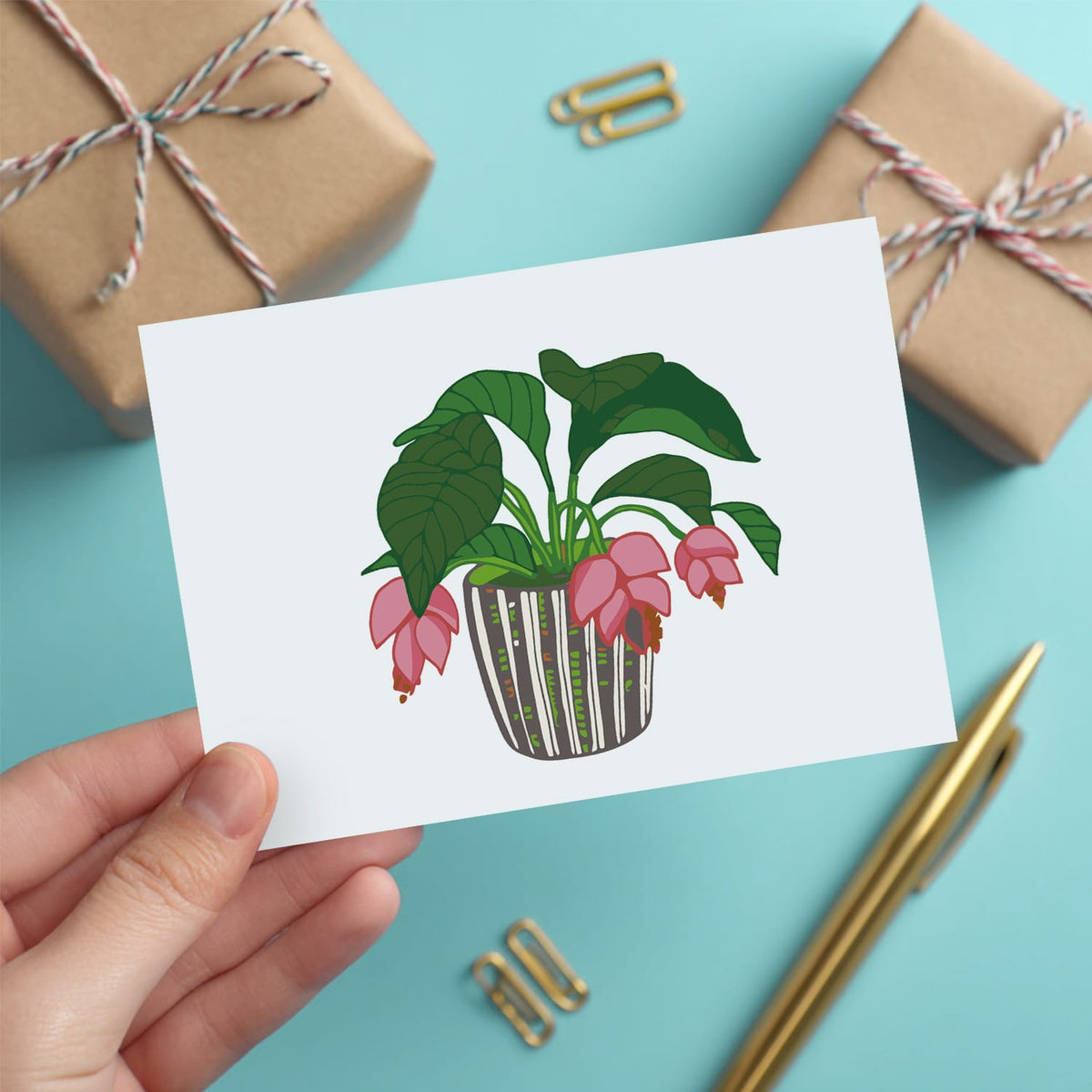 
Paint by Numbers – Postcard | Potted Plants