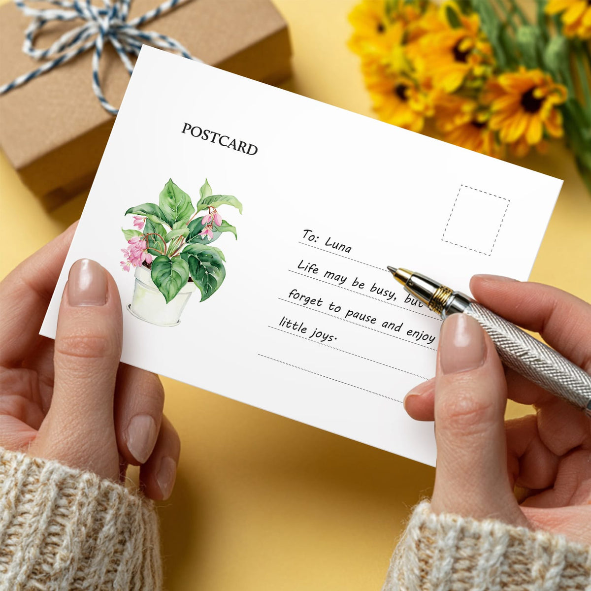 
Paint by Numbers – Postcard | Potted Plants