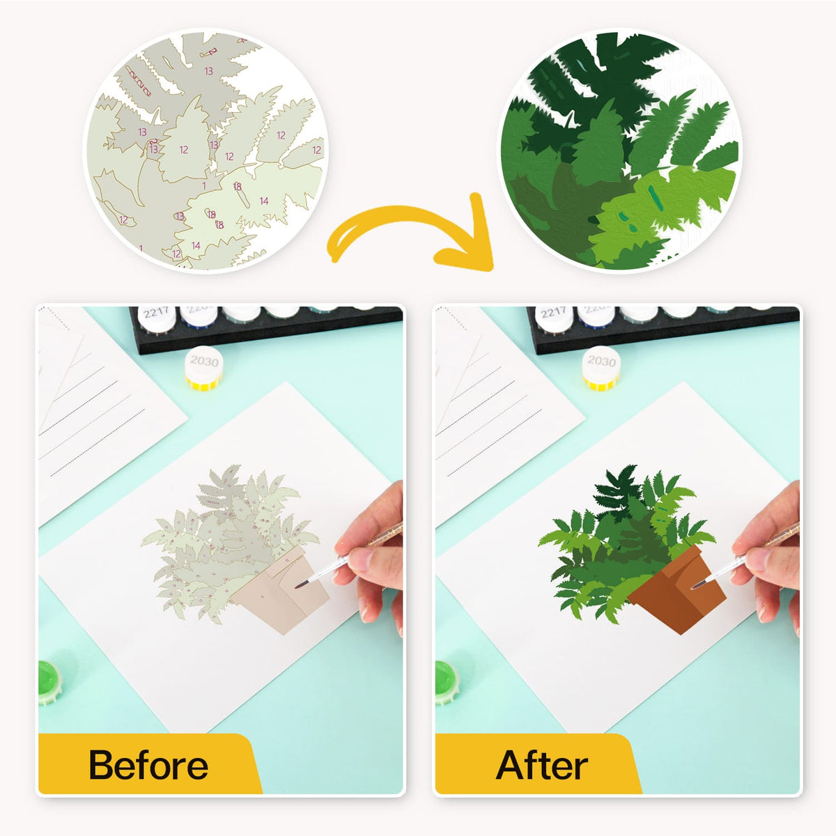 
Paint by Numbers – Postcard | Potted Plants