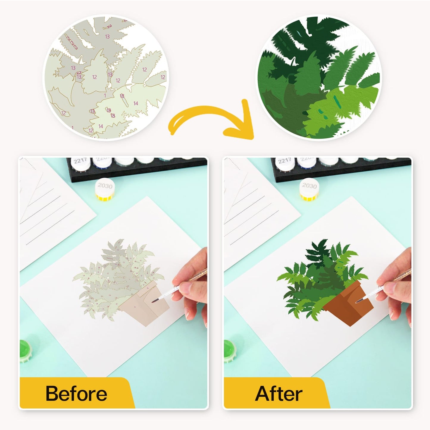 Paint by Numbers – Postcard | Potted Plants