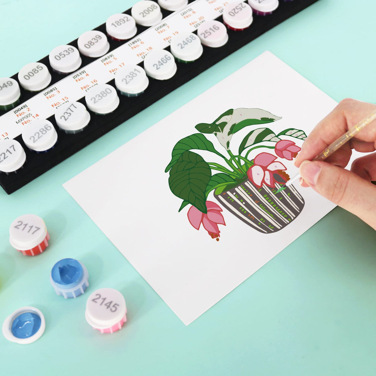 
Paint by Numbers – Postcard | Potted Plants