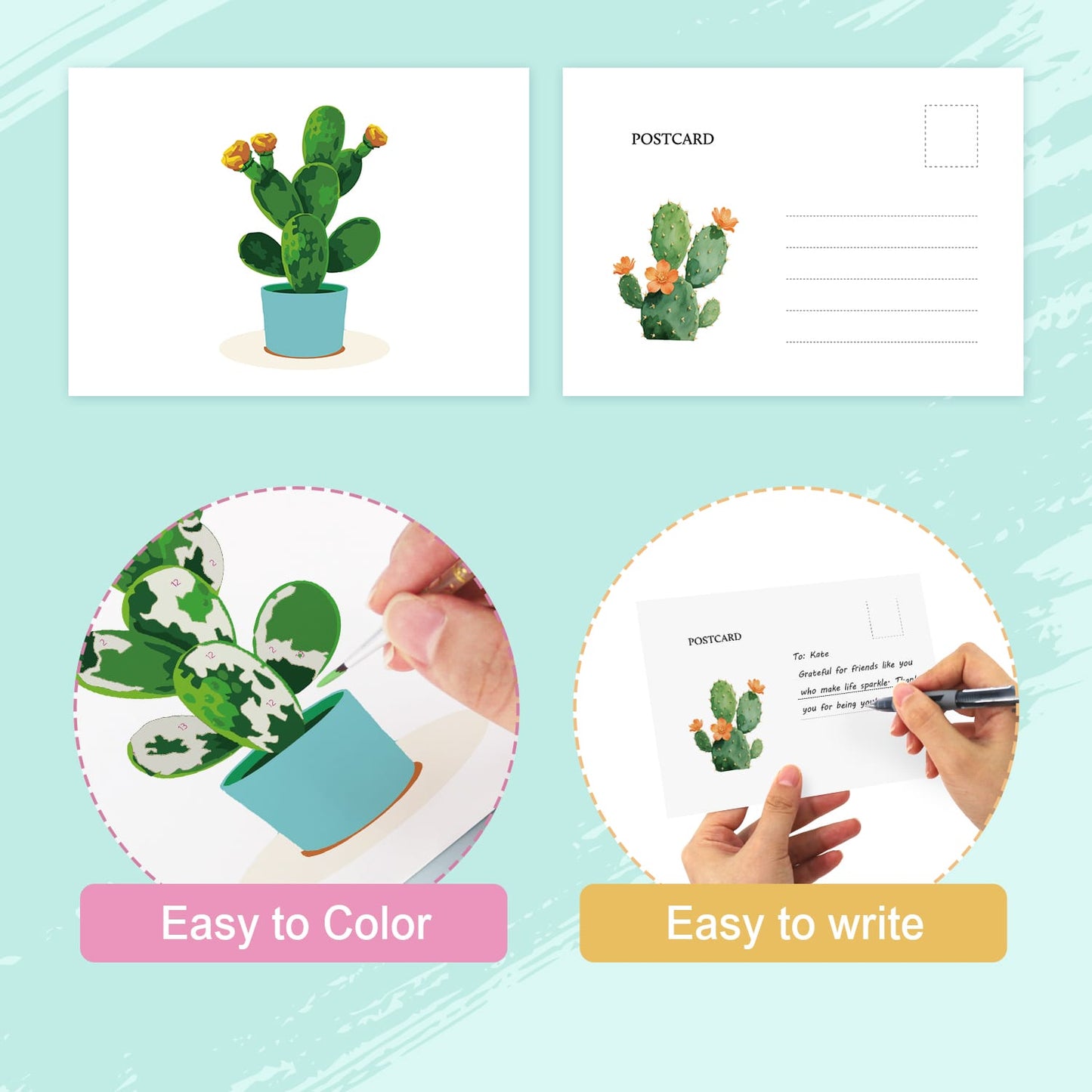 Paint by Numbers – Postcard | Potted Plants