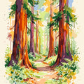 Paint by Numbers - Redwood Forest Path
