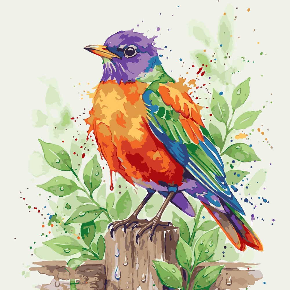 Paint by Numbers - Robin in the Rain