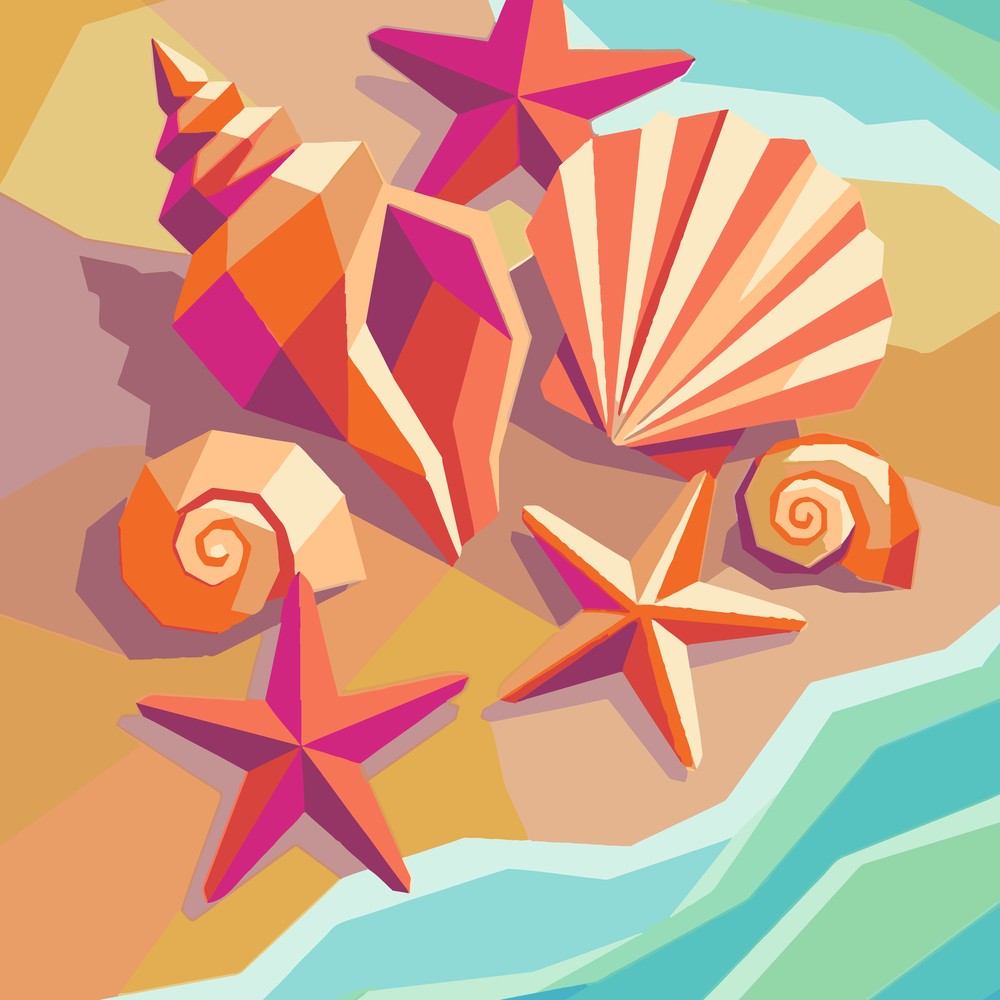 Paint by Numbers - Seashells on the Shore