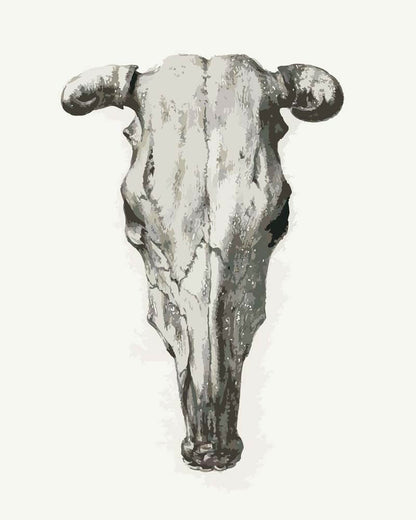 Paint by Numbers -Skull of a Cow | Jean Bernard