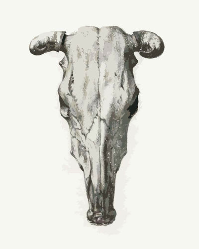 Paint by Numbers -Skull of a Cow | Jean Bernard