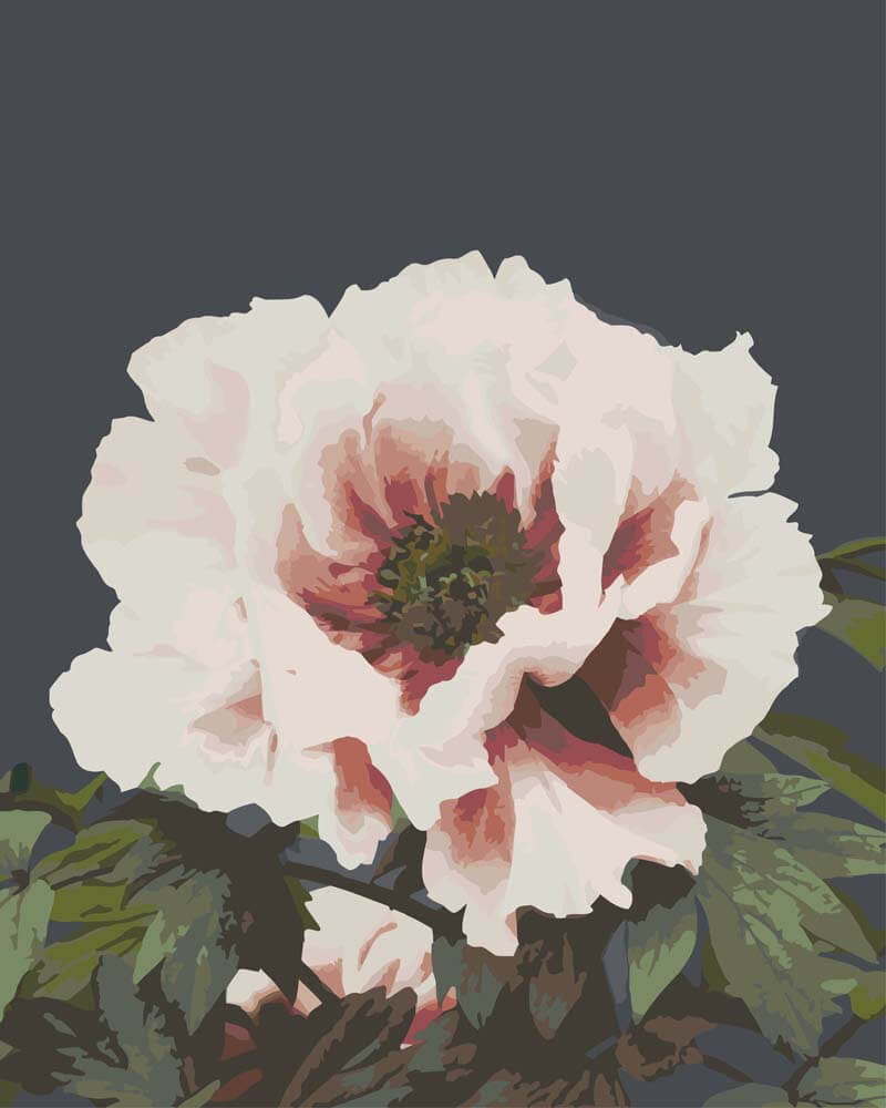 
Paint by Numbers - Beautiful Photomechanical Prints of (1887–1897) | Ogawa Kazumasa