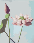 Paint by Numbers - Beautiful Photomechanical Prints of Lotus Flowers (1887–1897) | Ogawa Kazumasa